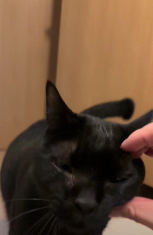 手で作った半分ハートと虎徹くん