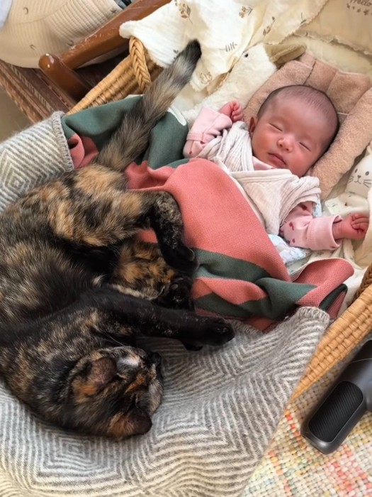 赤ちゃんに寄り添う猫