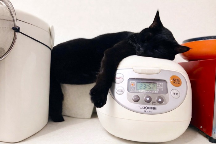 炊飯器の上で眠る黒猫