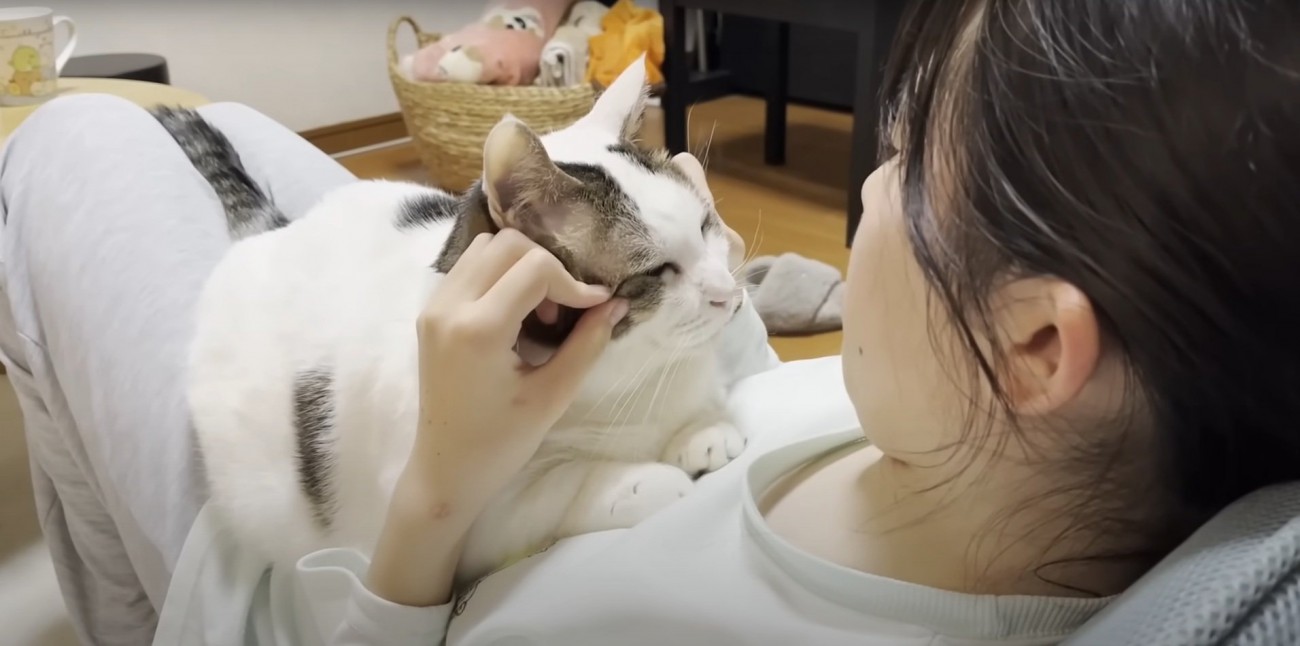 娘ちゃんに撫でられる豆大福くん