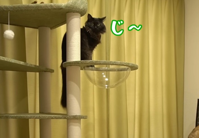 「じ~」と書いてある写真