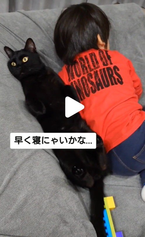 寝そべっている弟くんとジジくん