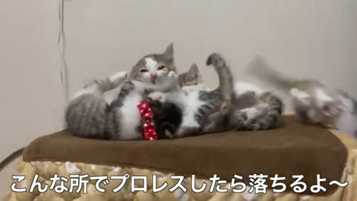 こんな所で(右端の子が落下)