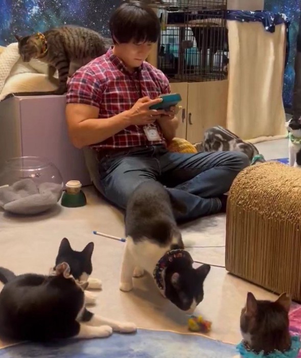 猫カフェにいる青木マッチョさん