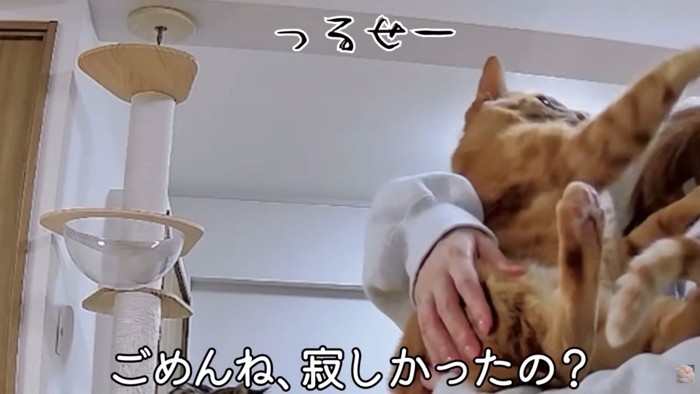 テロップ「ごめんね、寂しかったの？」