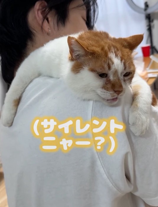 サイレントニャー