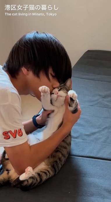 猫に鼻をくっつける男の子と、それを静かに見守る猫