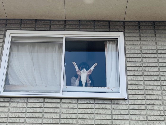 家族に抱っこされて窓から投稿主さんを見送るハチワレ猫