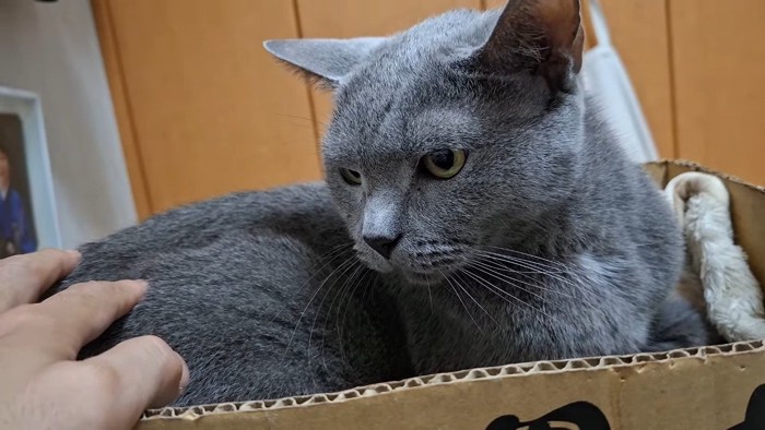 手を見て