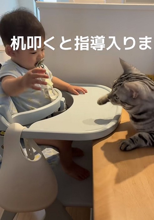 赤ちゃんと猫の写真1