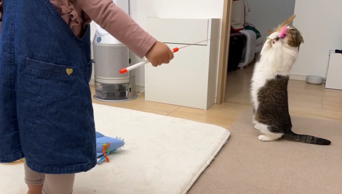 キャッチするぽこ太郎くん