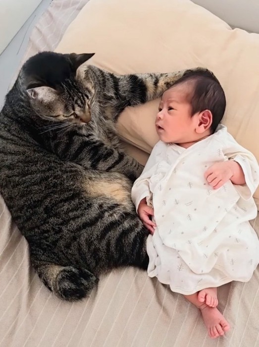 赤ちゃんを見つめ返す猫