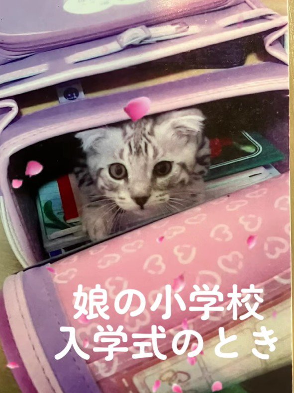 ランドセルに入った猫