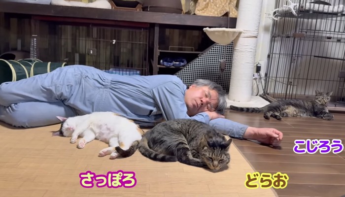 みんなで爆睡中