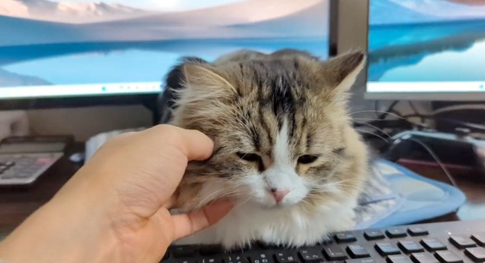 首元に手を添える