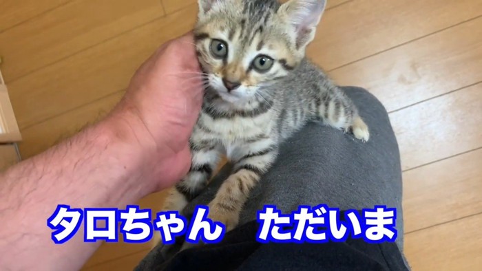 タロちゃんただいま
