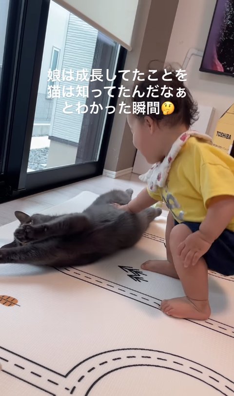 子供にお腹を触られて伸びをしている猫(子供の目線猫)