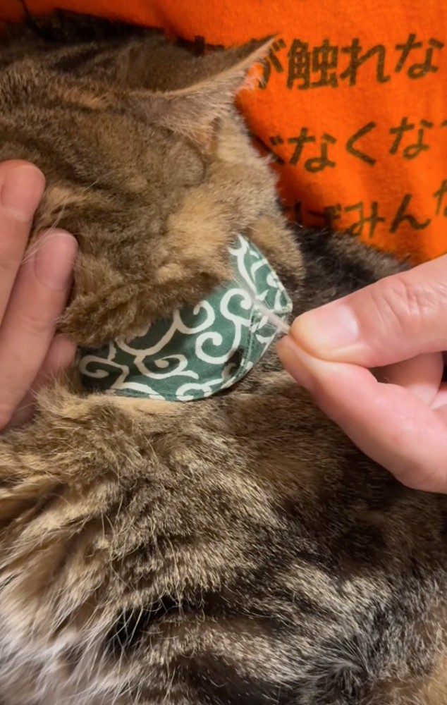 綺麗に抜ける毛