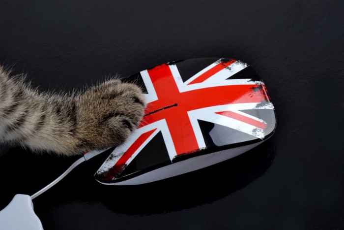 ユニオンジャックを触る猫の手