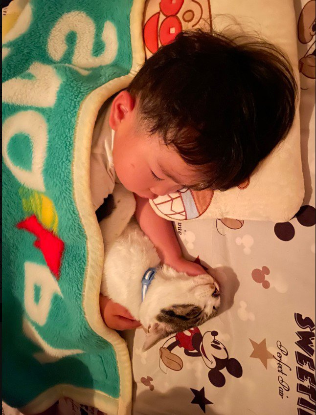 添い寝をしている子どもと猫
