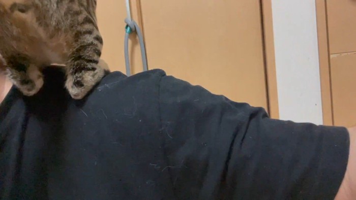 肩の上