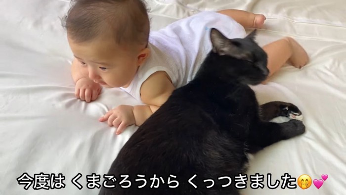 赤ちゃんにくっつく黒白猫