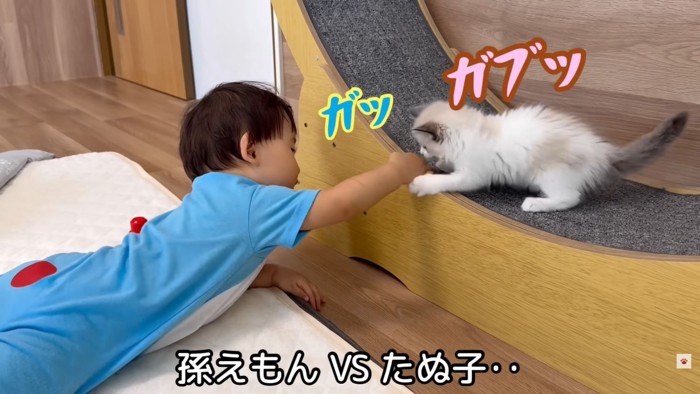 テロップ「孫えもんVS~」