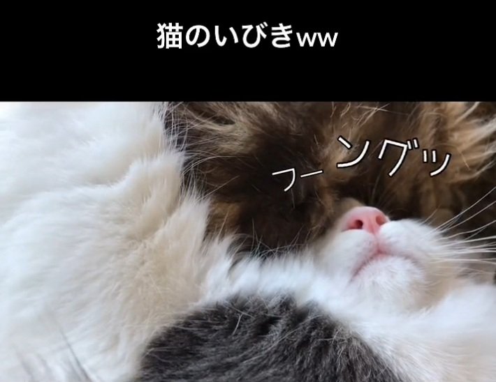 いびきをかくサチちゃん