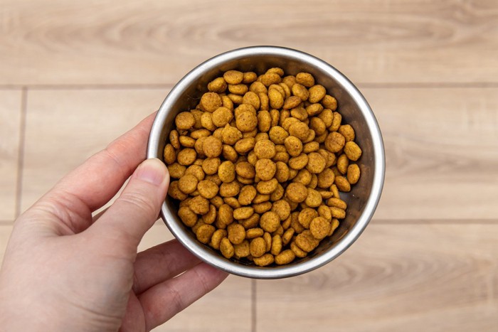 猫のドライフード