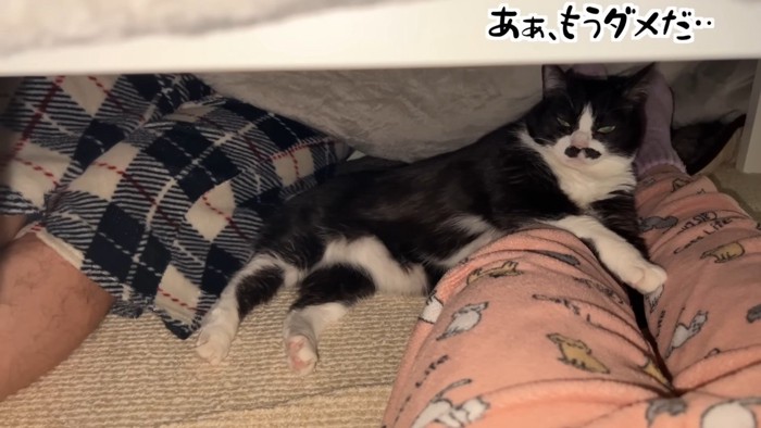 あぁ、もうダメだ…