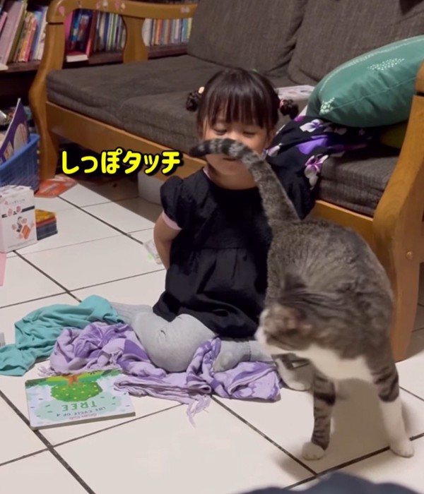 女の子の顔にしっぽを当てる猫