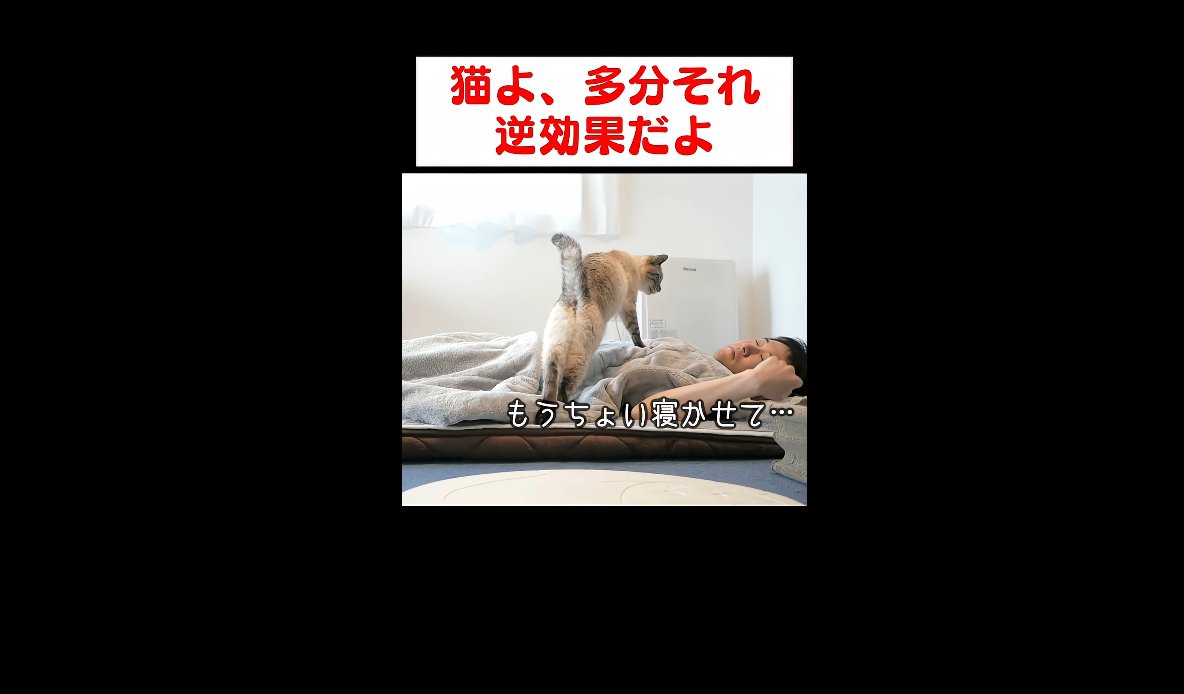 もうちょい寝かせて…