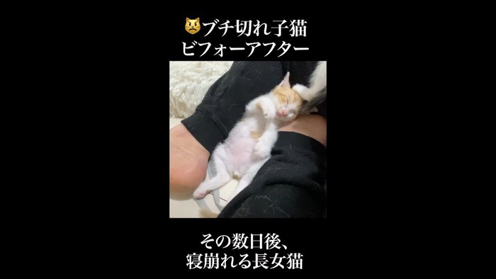 その数日後