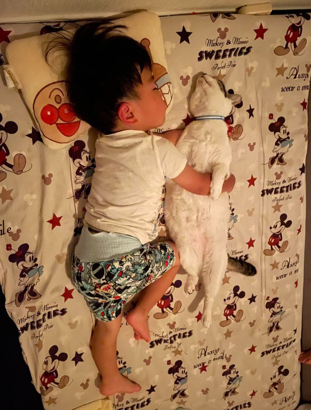 添い寝をしている子どもと猫
