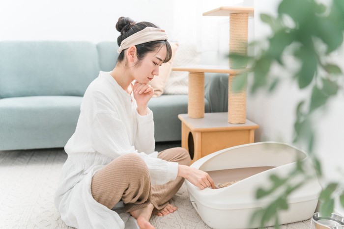 猫のトイレを掃除する女性