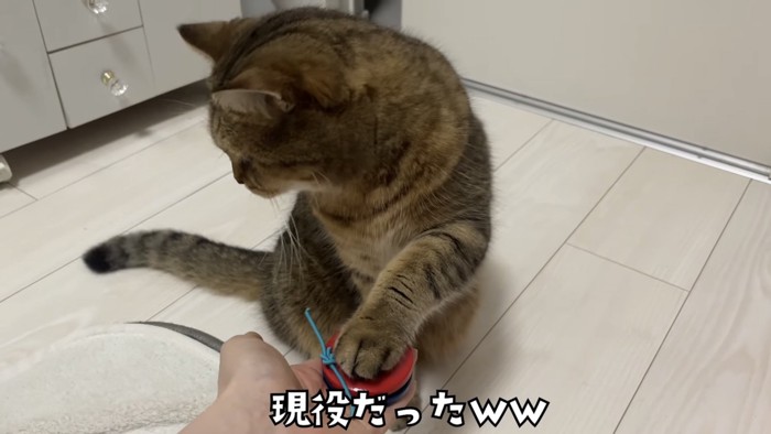 「現役だったｗｗ」のテロップ写真