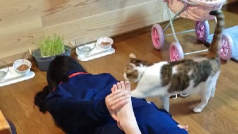 ストレッチ中の女性と猫