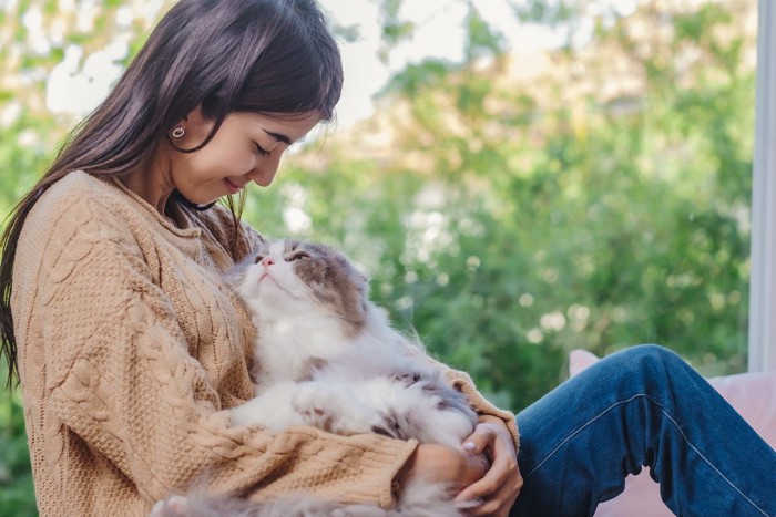 女性に抱かれて甘える猫