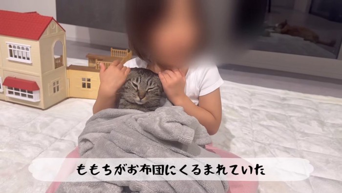 女の子の足の上で毛布にくるまれるキジトラ猫