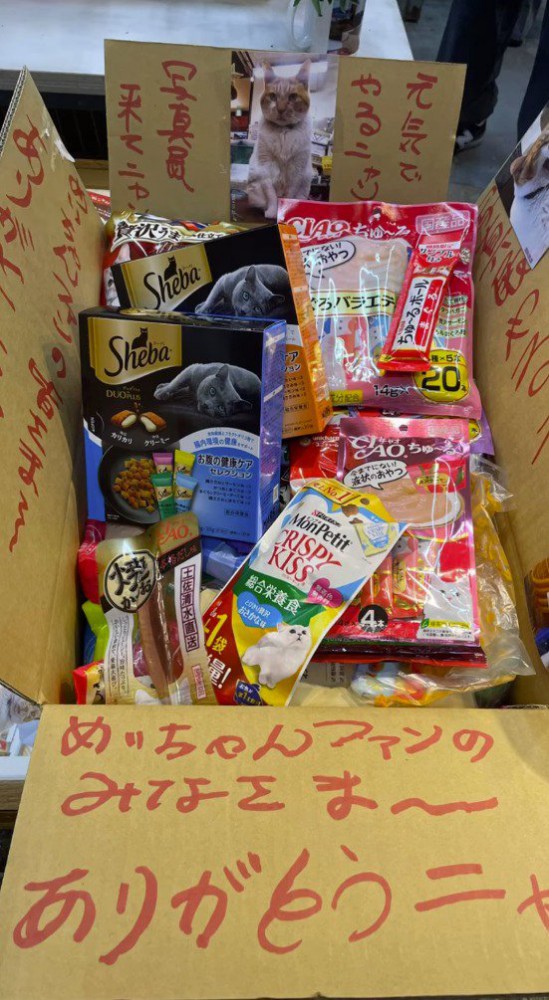 箱の中に入れられたたくさんのおやつ