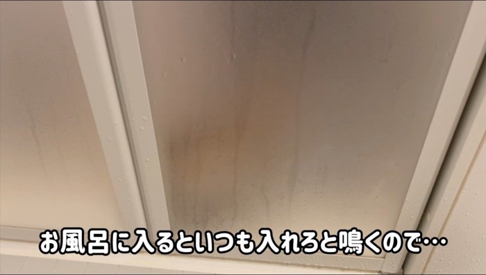 ドアの向こうに浮かぶ猫のシルエット