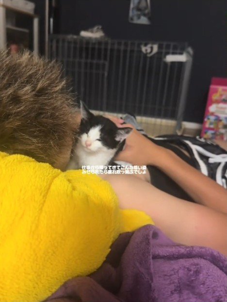 抱っこされ目を閉じる猫