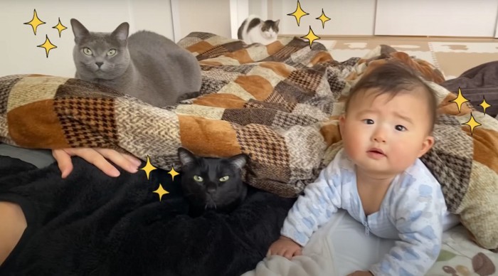 3匹と一人のカメラ目線