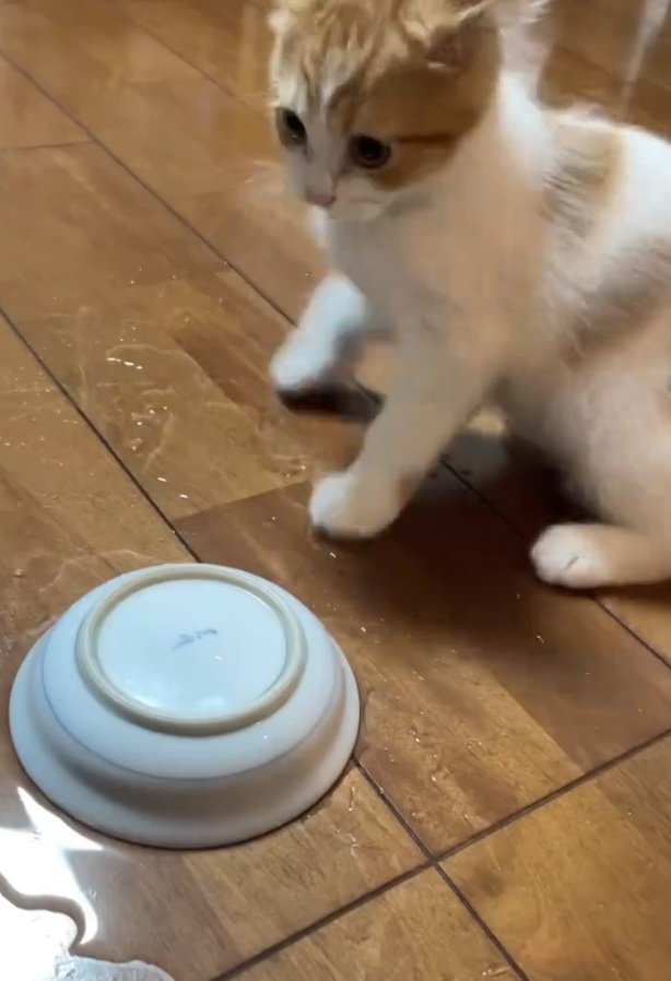 お水をこぼすのんちゃん