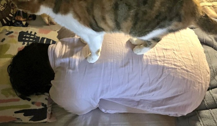 上に乗る猫の足