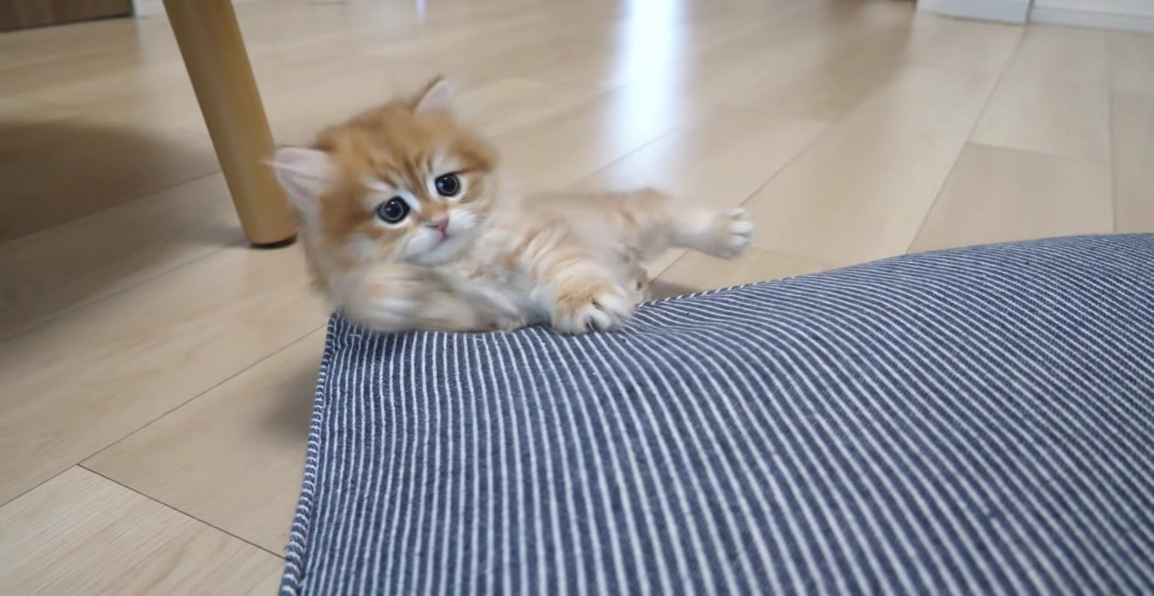 クッションから滑り落ちる赤ちゃん