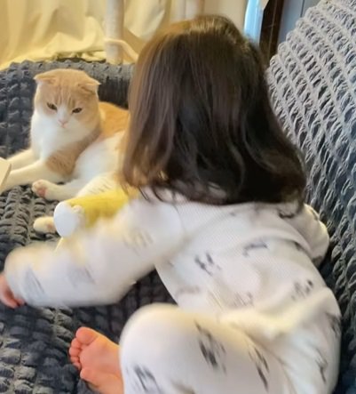 猫の方へ体を向けて移動する子供