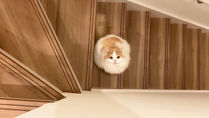上から