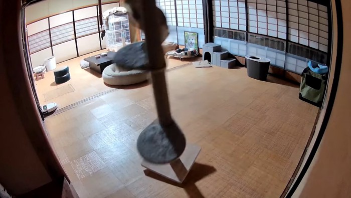 傾くキャットタワー