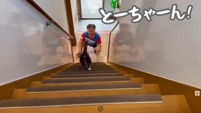 テロップ「とーちゃーん！」